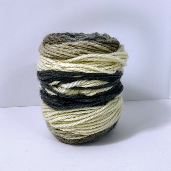 Caron Chunky Cakes Rice Pudding Yarn 17024 9 Oz Skein - Picture 4 of 5